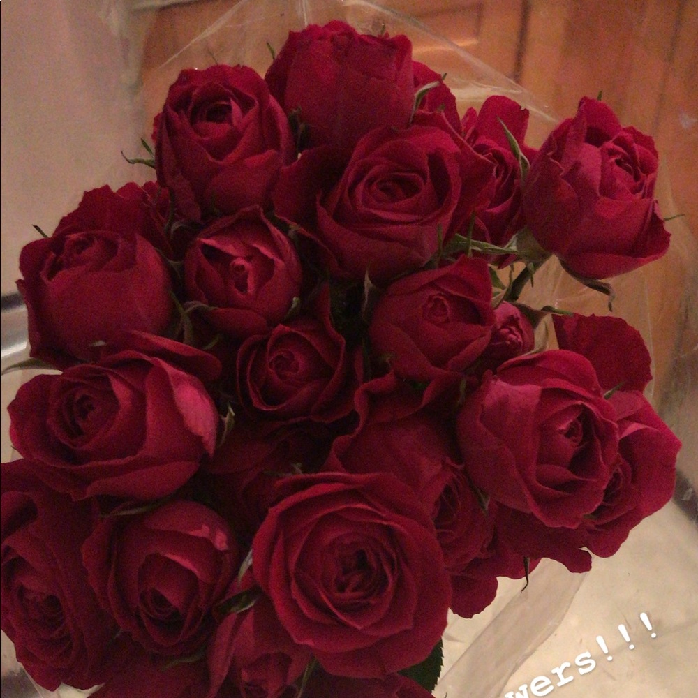 Meet your Posher, Anastassia